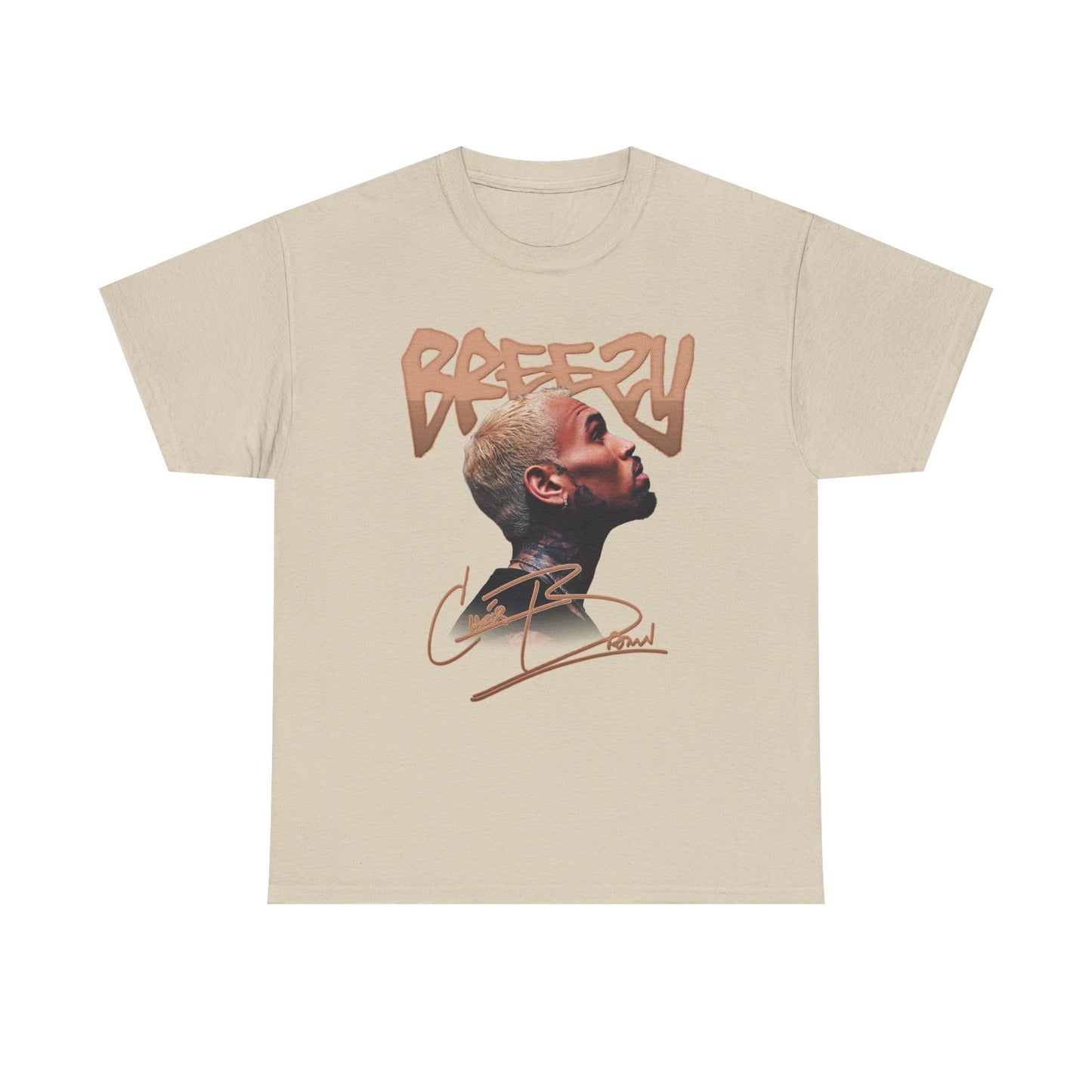 Breezy R&B Tour Inspired Shirt