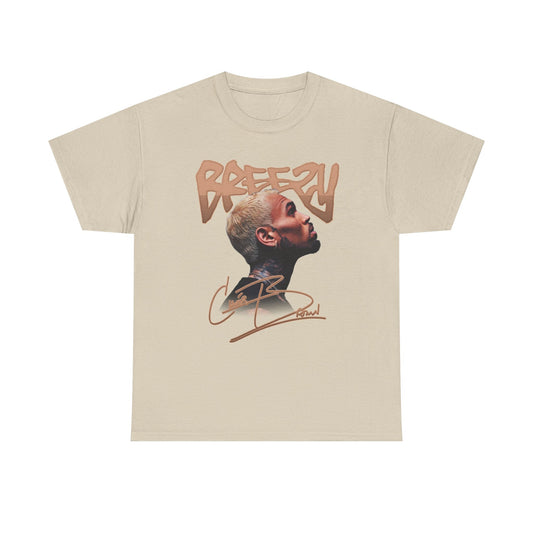 Breezy R&B Tour Inspired Shirt