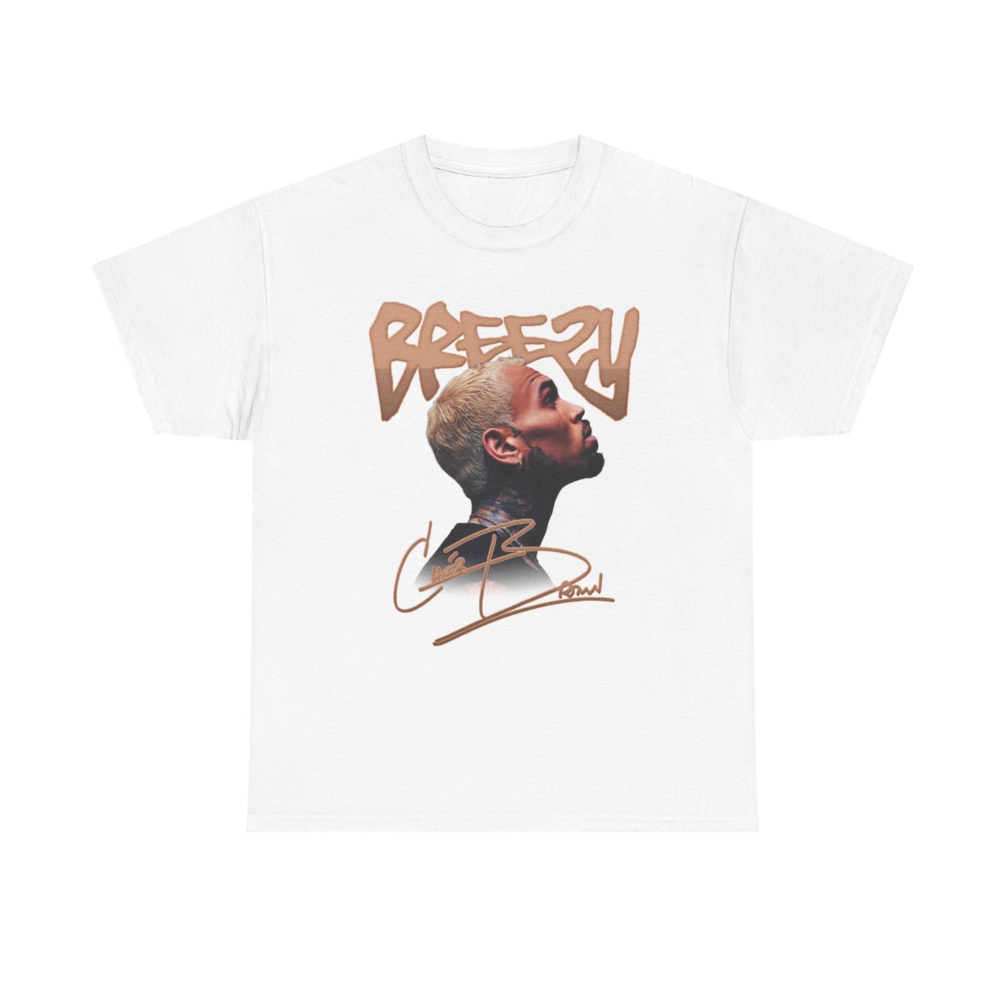 Breezy R&B Tour Inspired Shirt