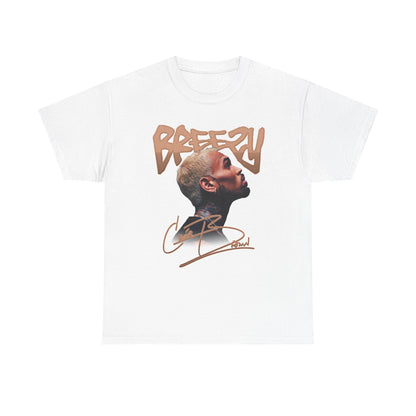 Breezy R&B Tour Inspired Shirt
